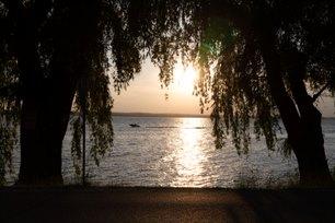 Sunset over water framed by trees